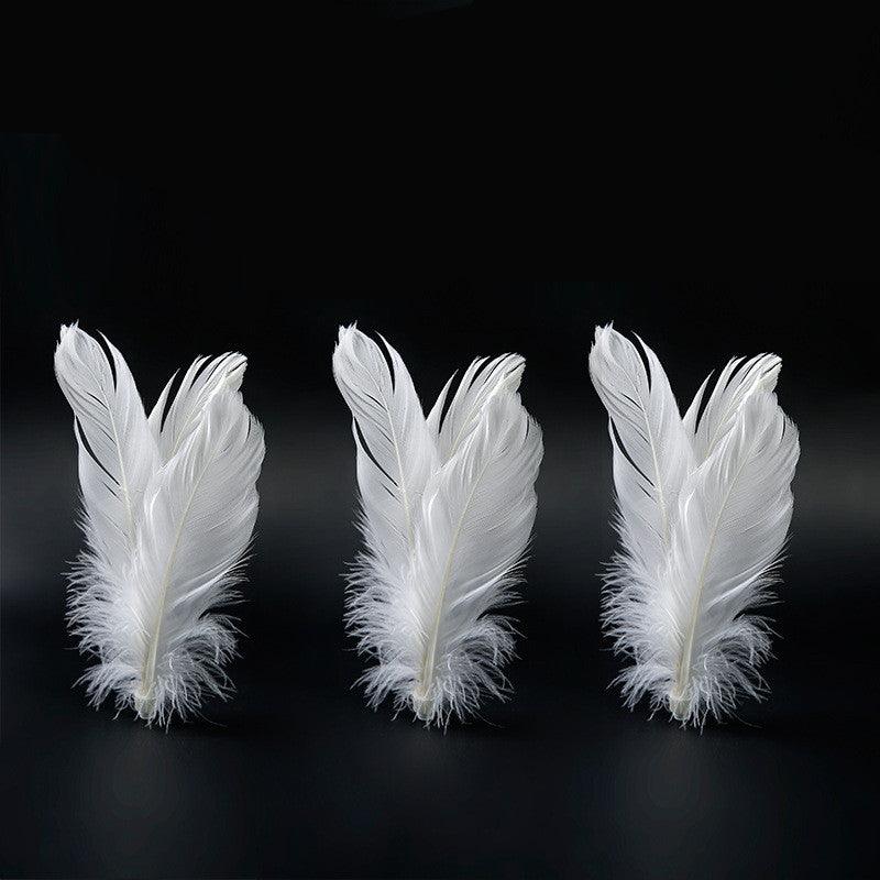 Funny Cat Tumbler Toy: Interactive Feathered Fun For Feline Friends