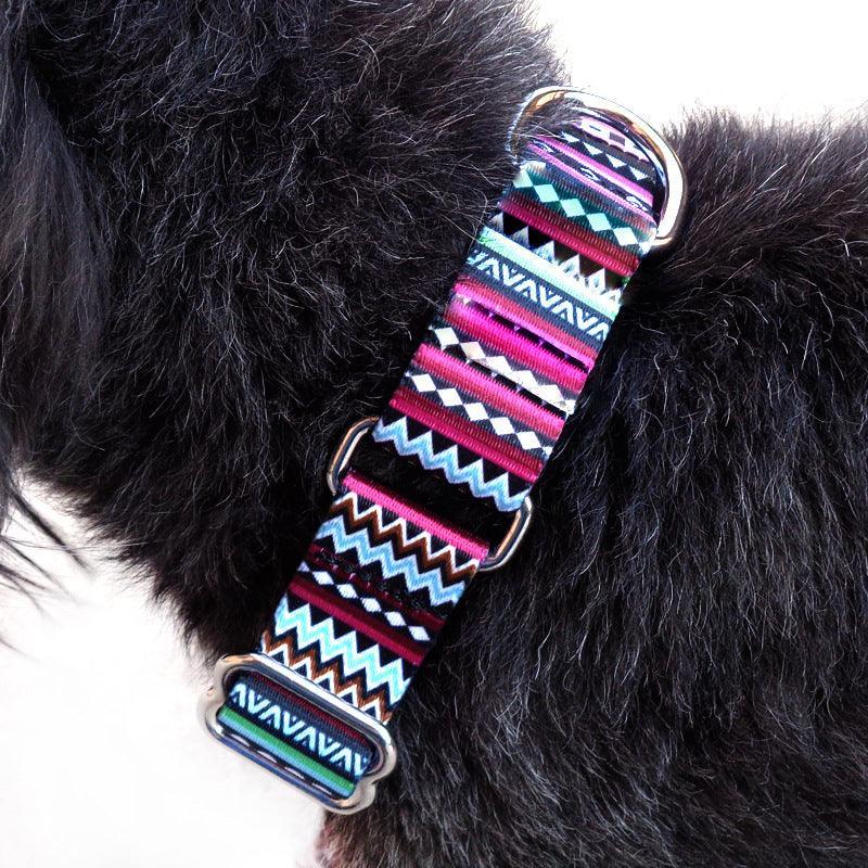 COSY PET WALKIING LEASH